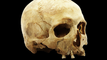 Human Origins